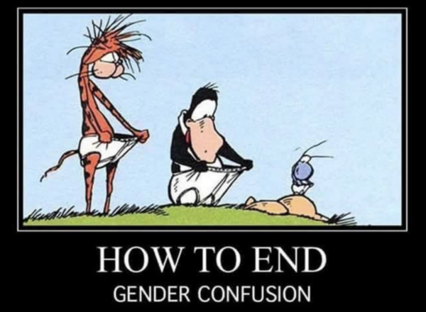 How to end gender confusion